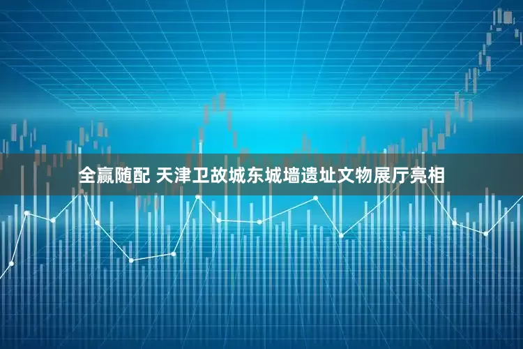 全赢随配 天津卫故城东城墙遗址文物展厅亮相