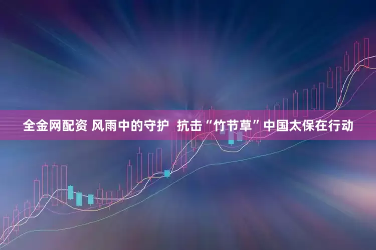 全金网配资 风雨中的守护  抗击“竹节草”中国太保在行动
